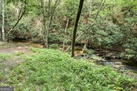 00 Mill Race Drive Mineral Bluff GA 30559