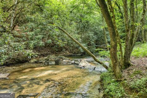 00 Mill Race Drive Mineral Bluff GA 30559
