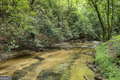 00 Mill Race Drive Mineral Bluff GA 30559