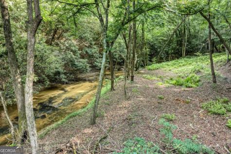 00 Mill Race Drive Mineral Bluff GA 30559