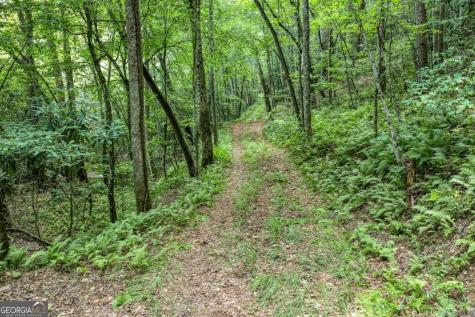 00 Mill Race Drive Mineral Bluff GA 30559
