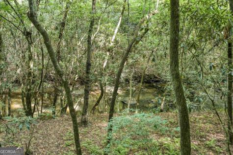 00 Mill Race Drive Mineral Bluff GA 30559