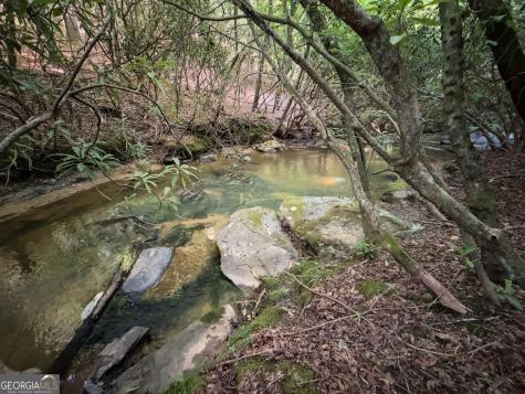 00 Mill Race Drive Mineral Bluff GA 30559