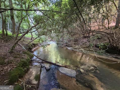 00 Mill Race Drive Mineral Bluff GA 30559