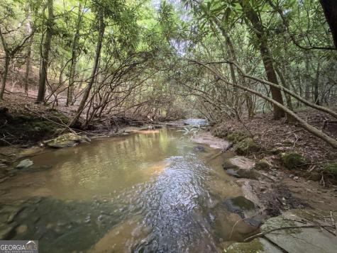 00 Mill Race Drive Mineral Bluff GA 30559