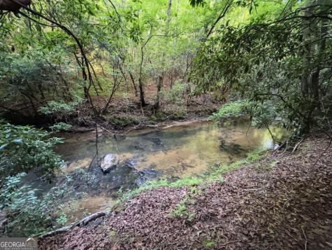 00 Mill Race Drive Mineral Bluff GA 30559