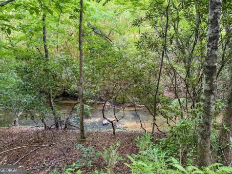 00 Mill Race Drive Mineral Bluff GA 30559