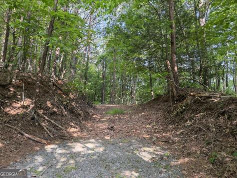 00 Mill Race Drive Mineral Bluff GA 30559