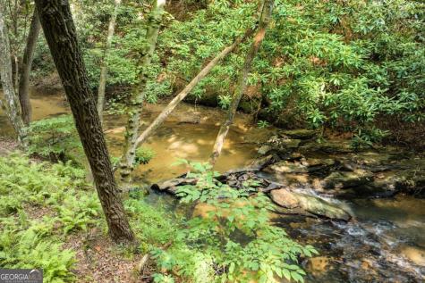 00 Mill Race Drive Mineral Bluff GA 30559