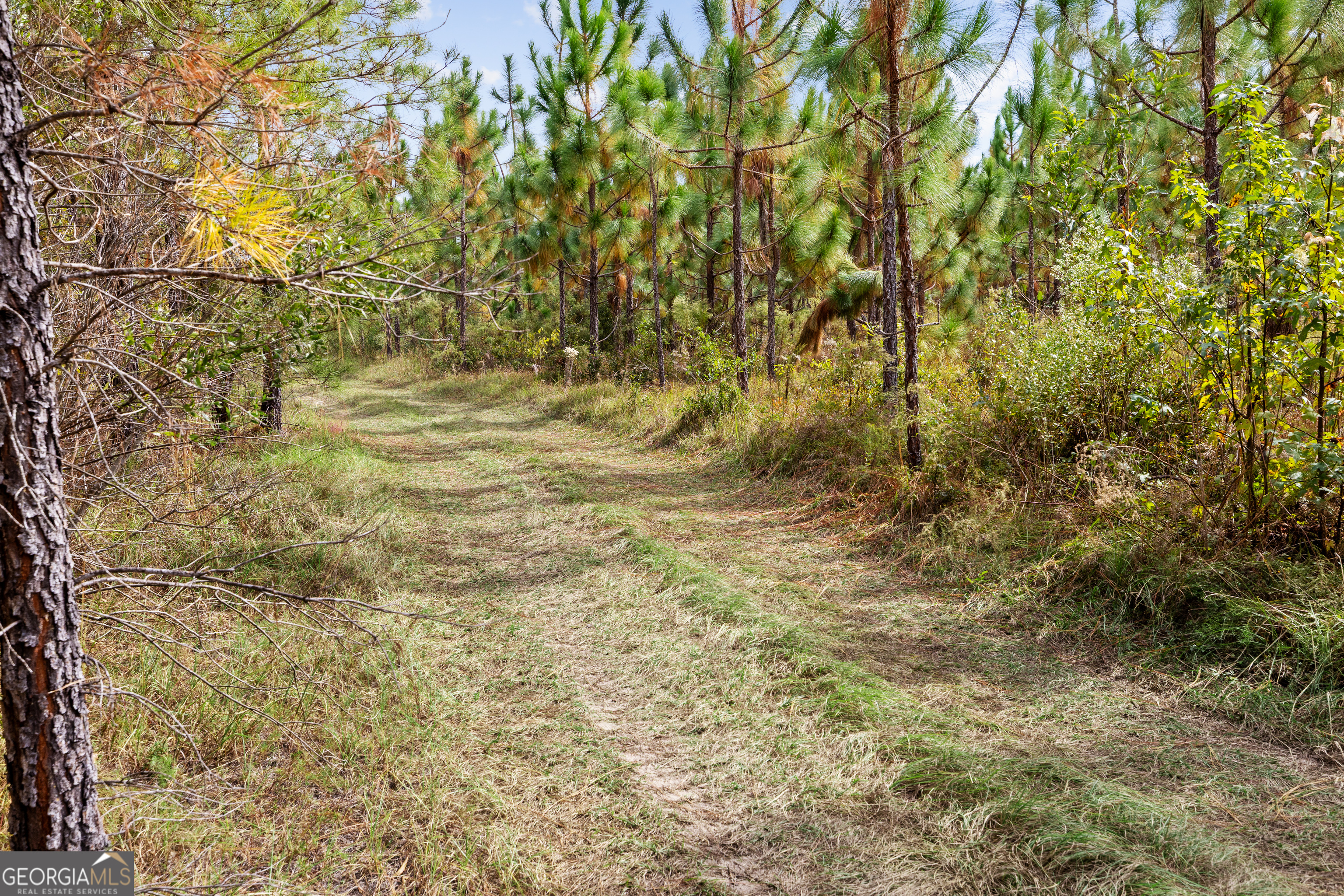 0 Highway 297 Soperton GA 30457
