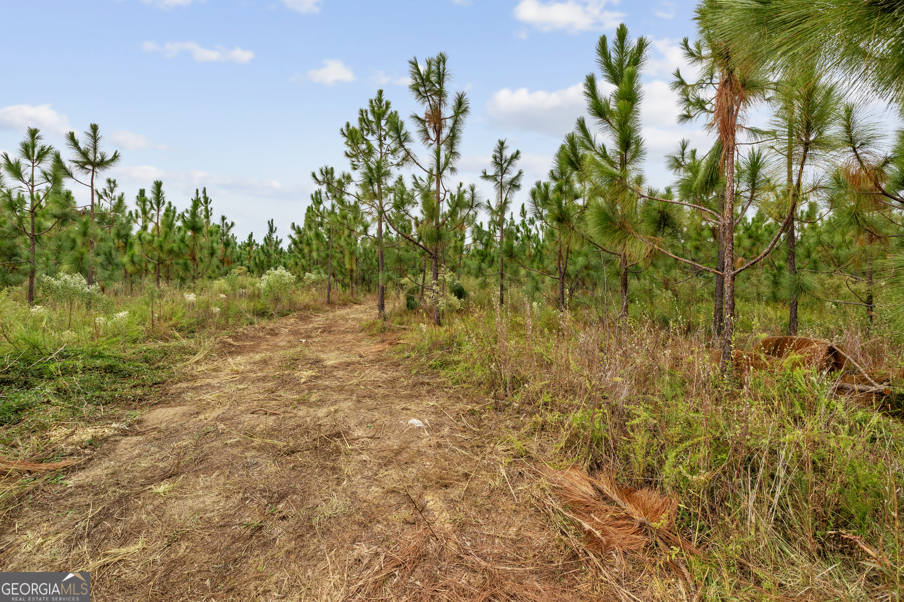 0 Highway 297 Soperton GA 30457