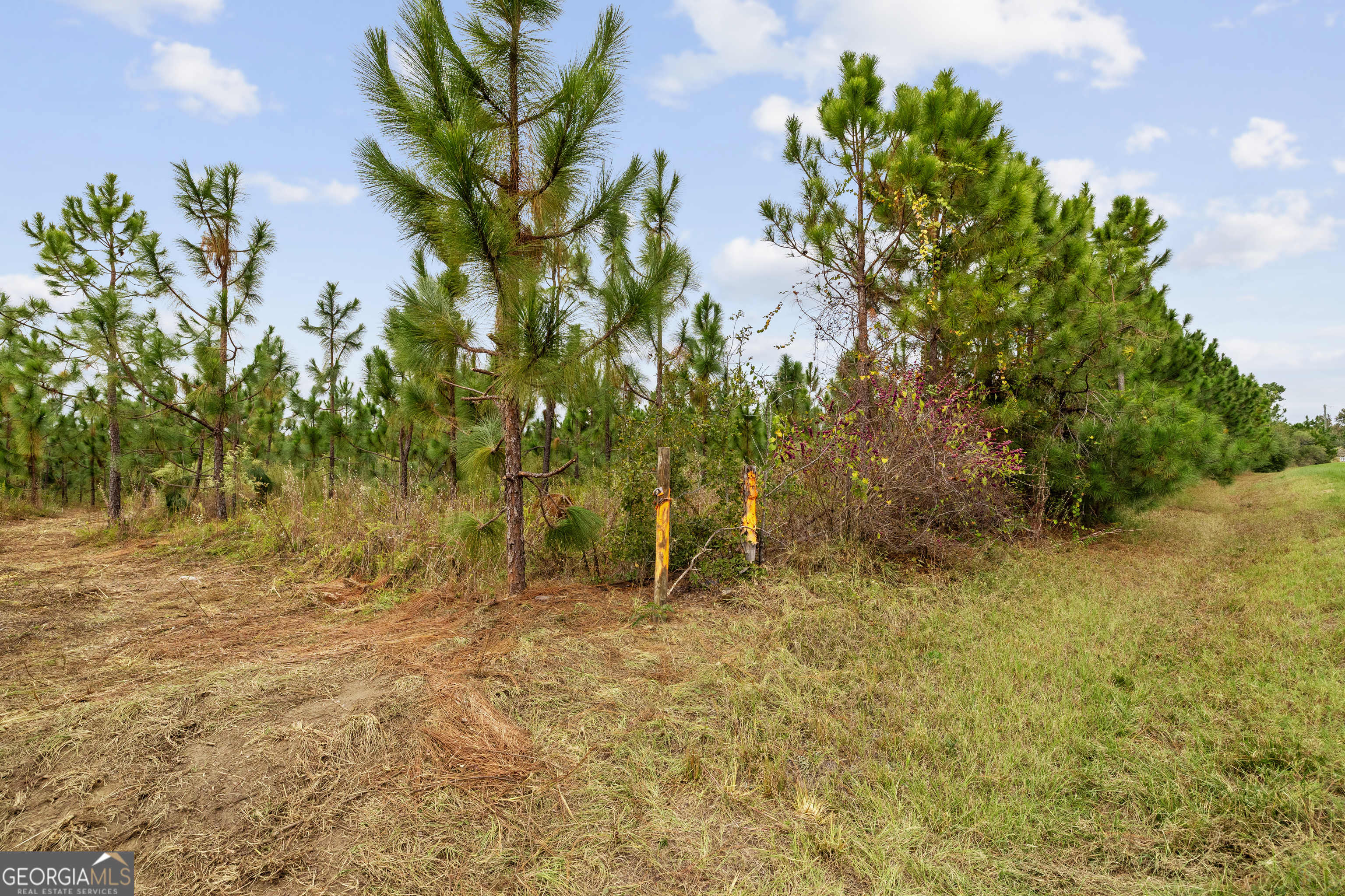 0 Highway 297 Soperton GA 30457