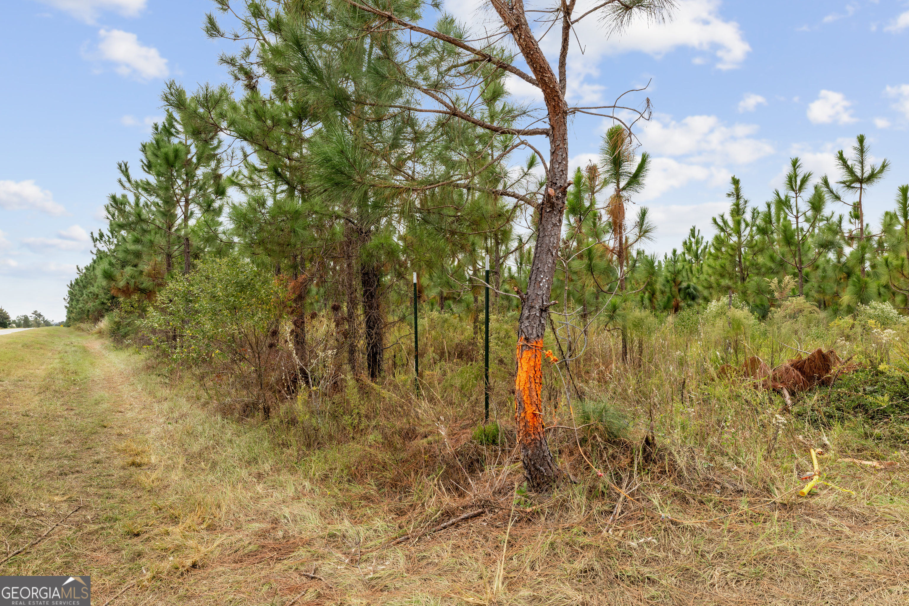 0 Highway 297 Soperton GA 30457