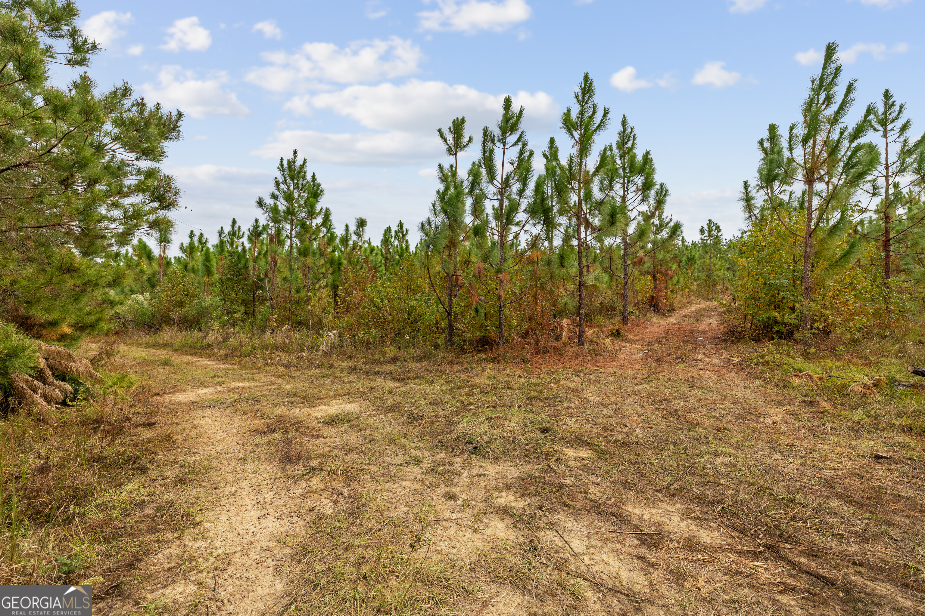 0 Highway 297 Soperton GA 30457
