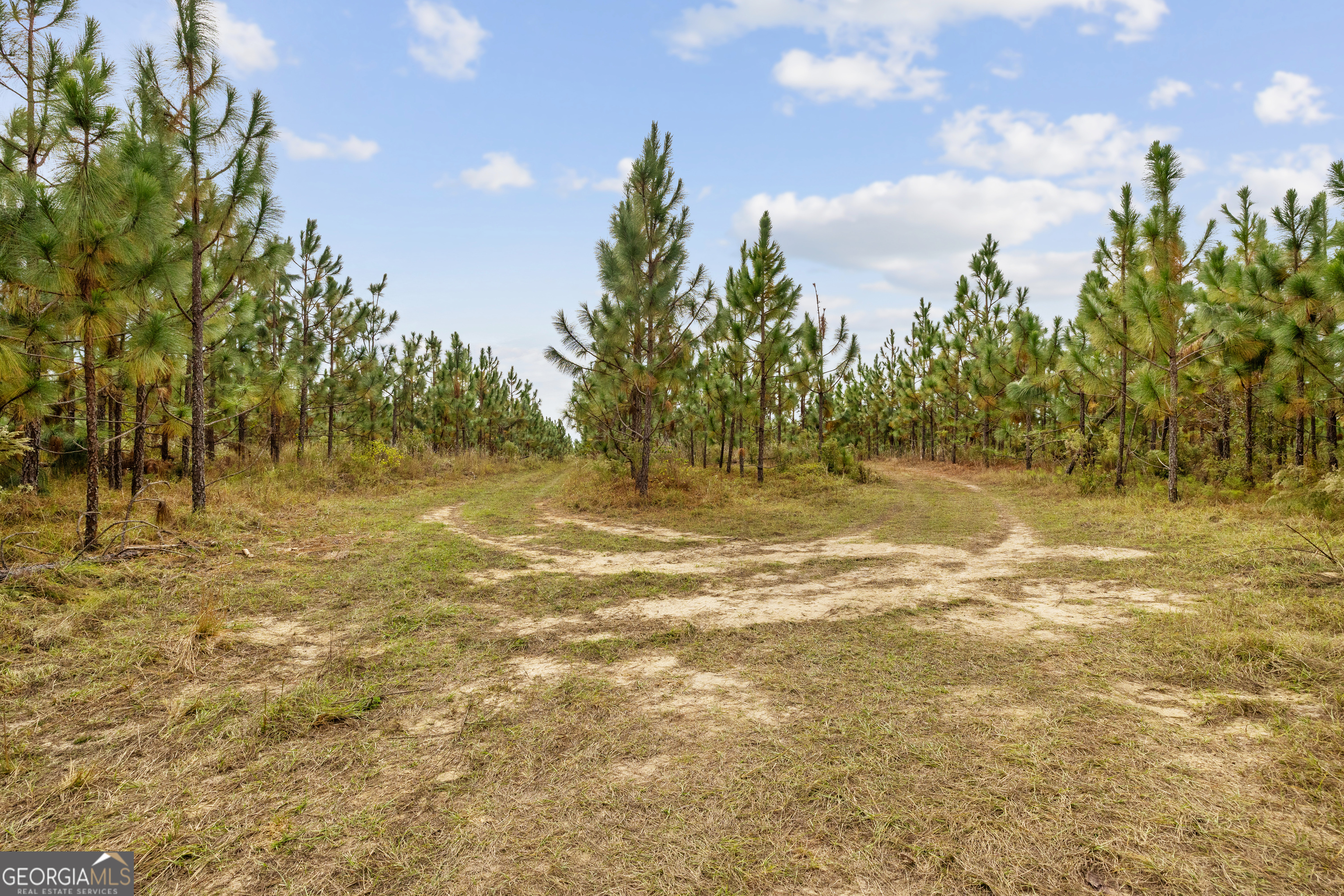 0 Highway 297 Soperton GA 30457