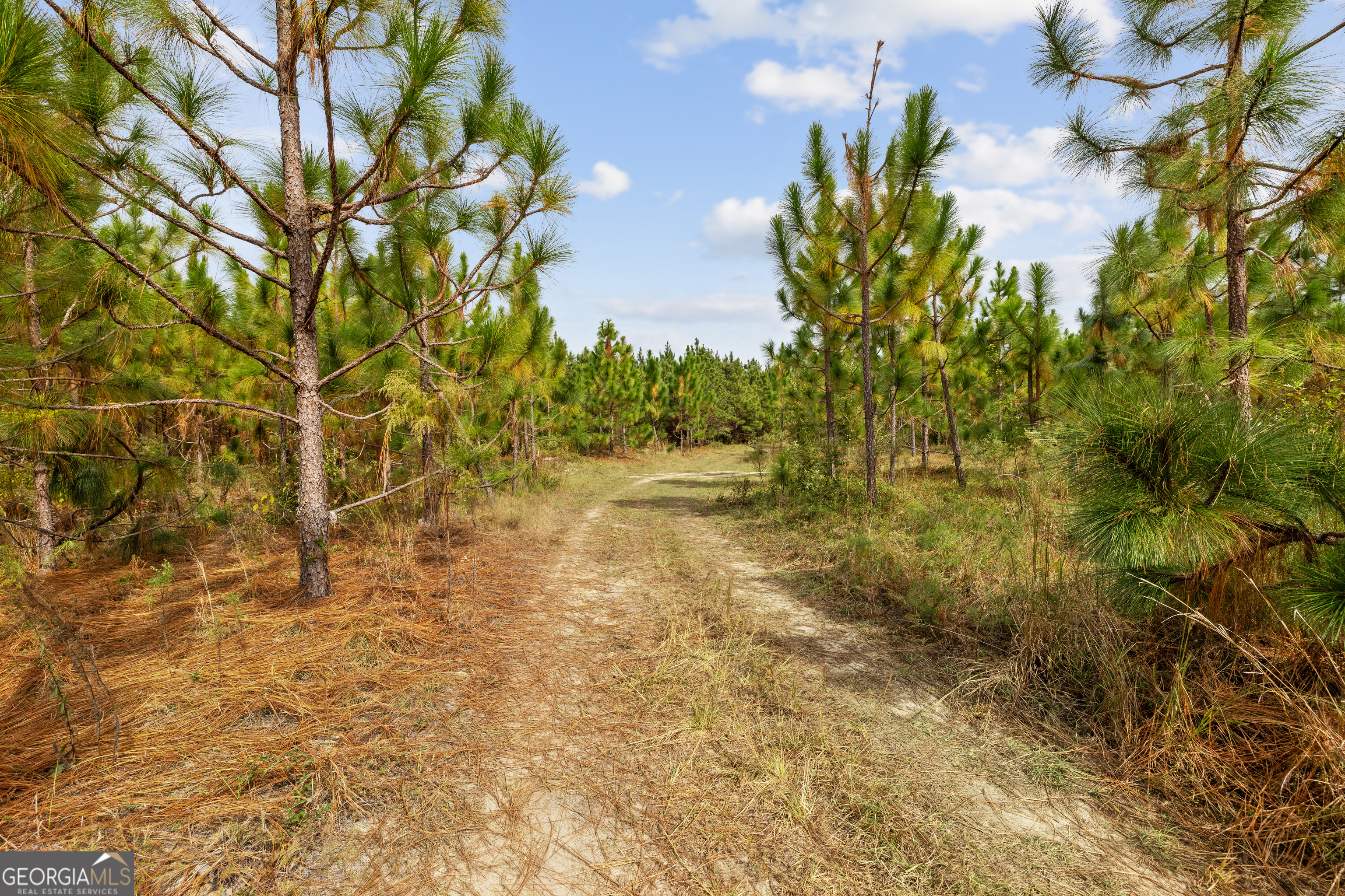 0 Highway 297 Soperton GA 30457