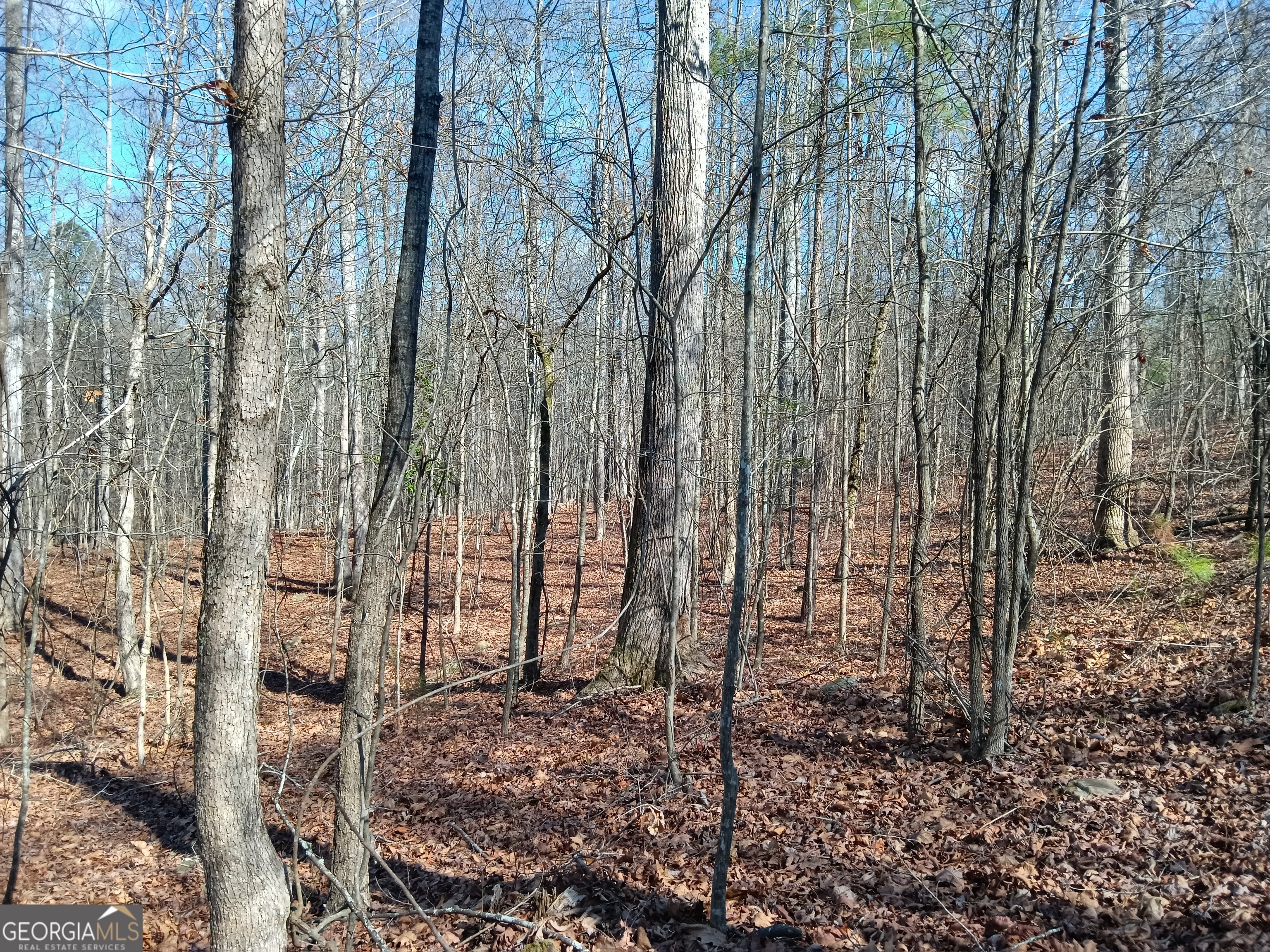 Tract 4 Rivers Road Fayetteville GA 30214