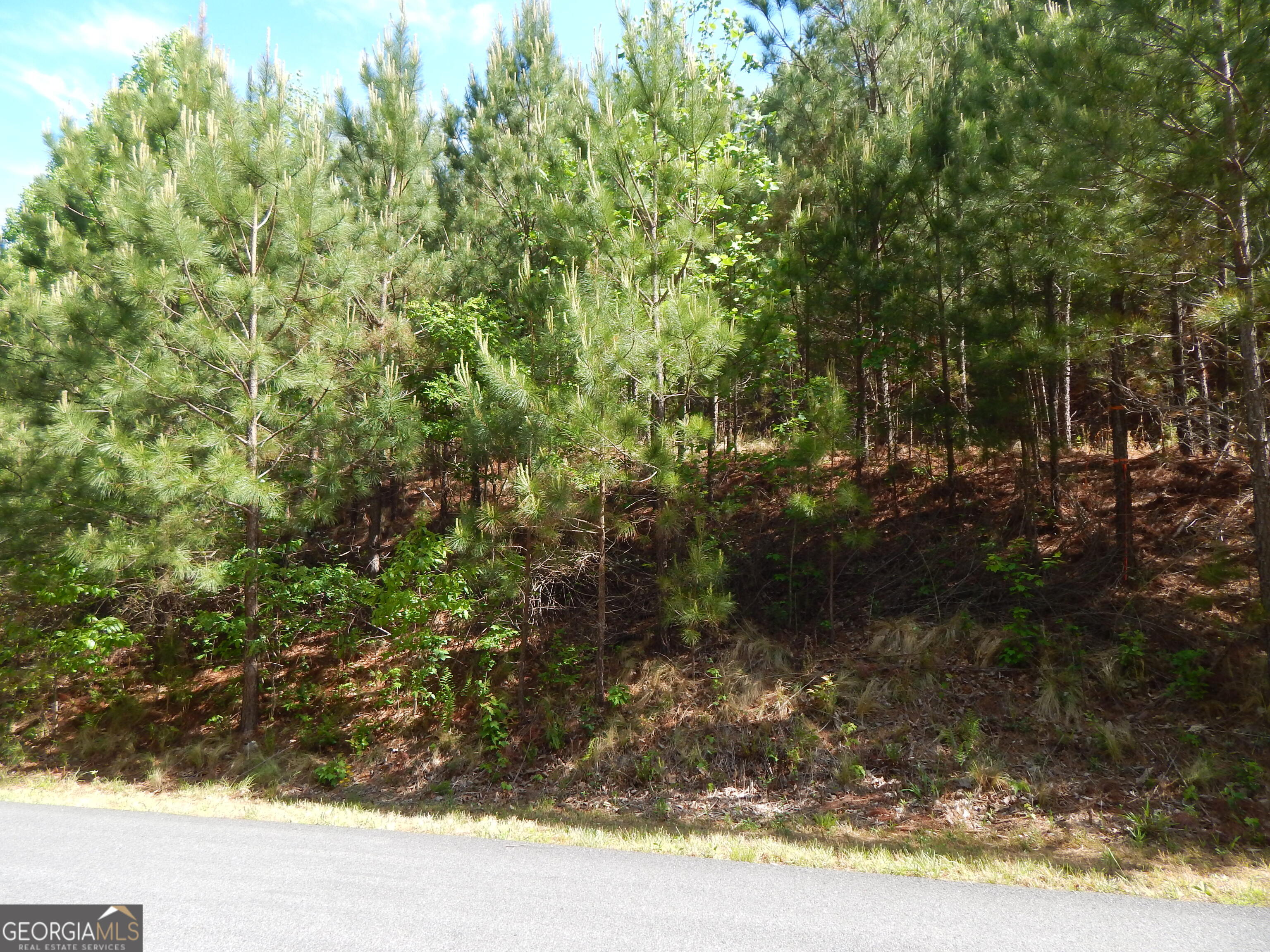 #361 The Cove At Thirteen Hundred Young Harris GA 30582