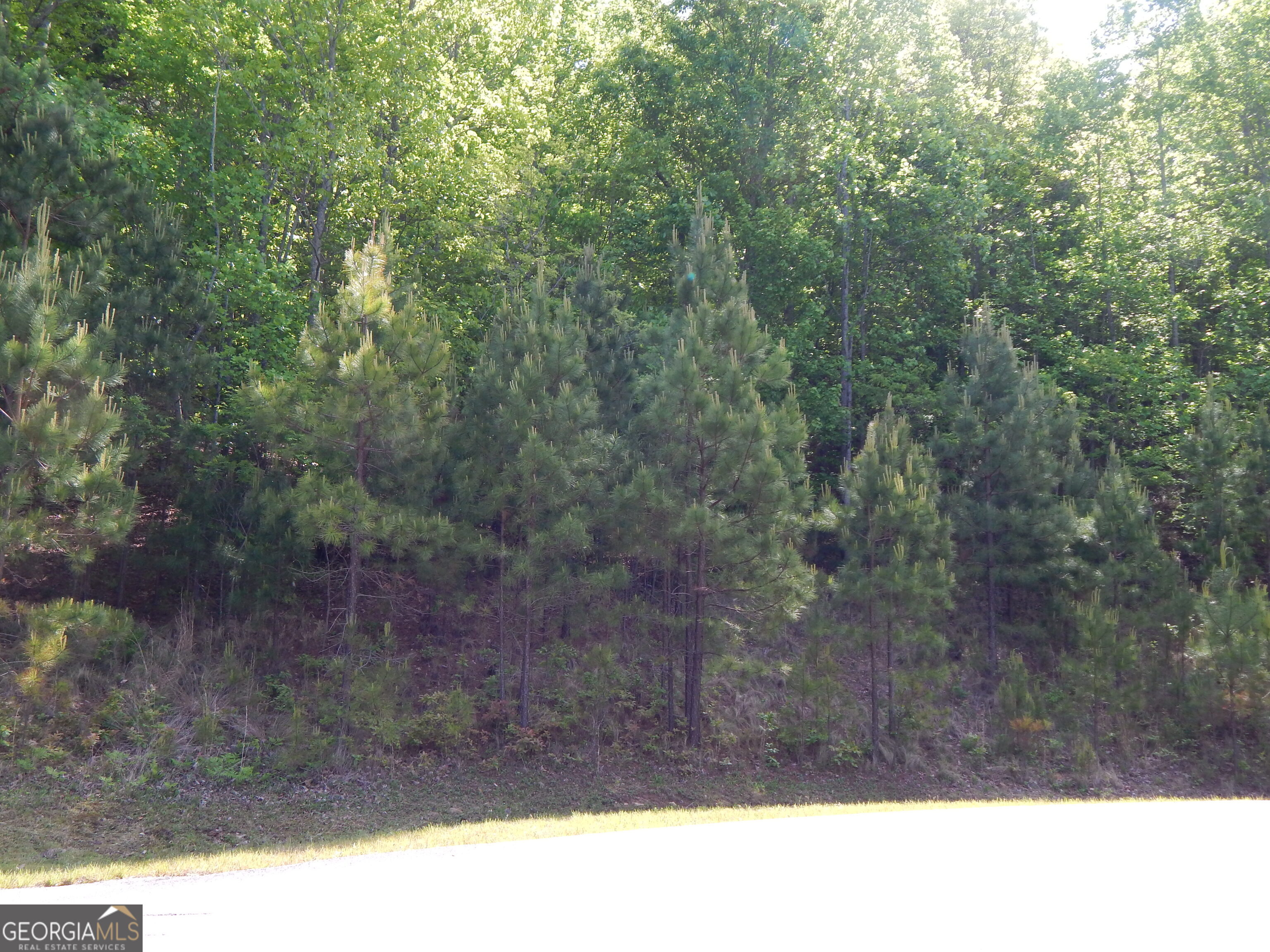 #361 The Cove At Thirteen Hundred Young Harris GA 30582