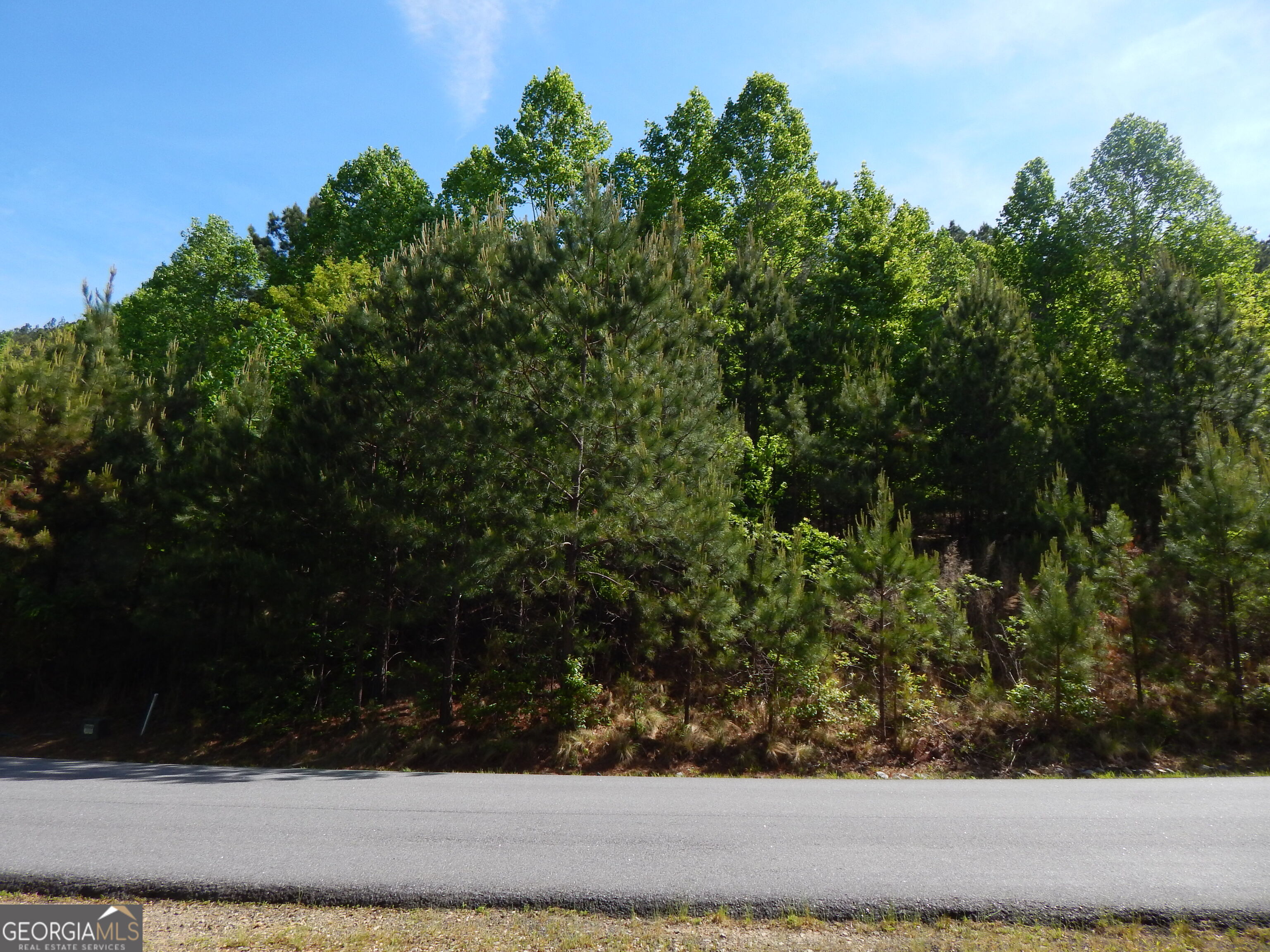 #361 The Cove At Thirteen Hundred Young Harris GA 30582
