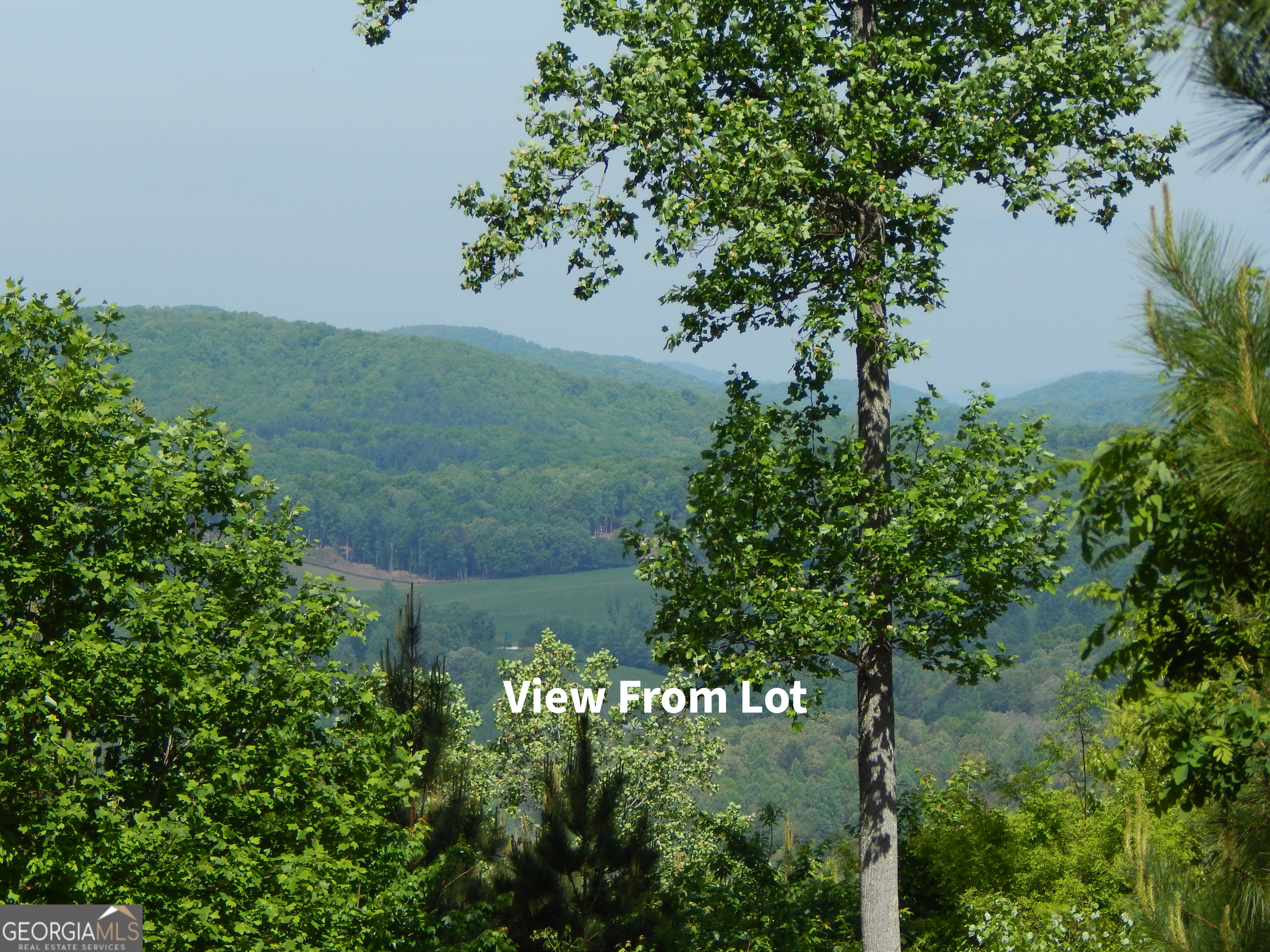 #361 The Cove At Thirteen Hundred Young Harris GA 30582