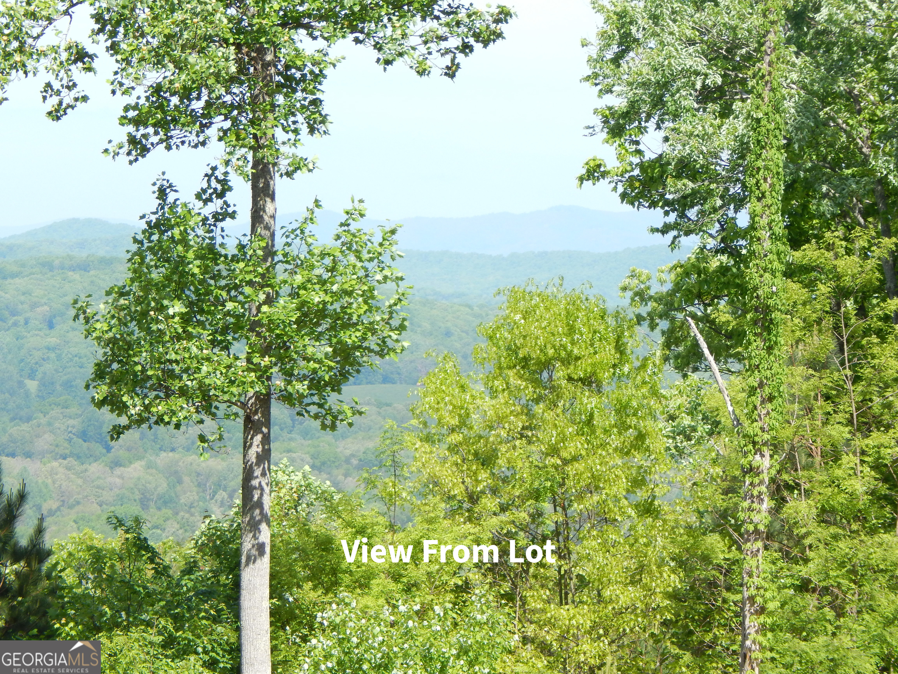 #361 The Cove At Thirteen Hundred Young Harris GA 30582