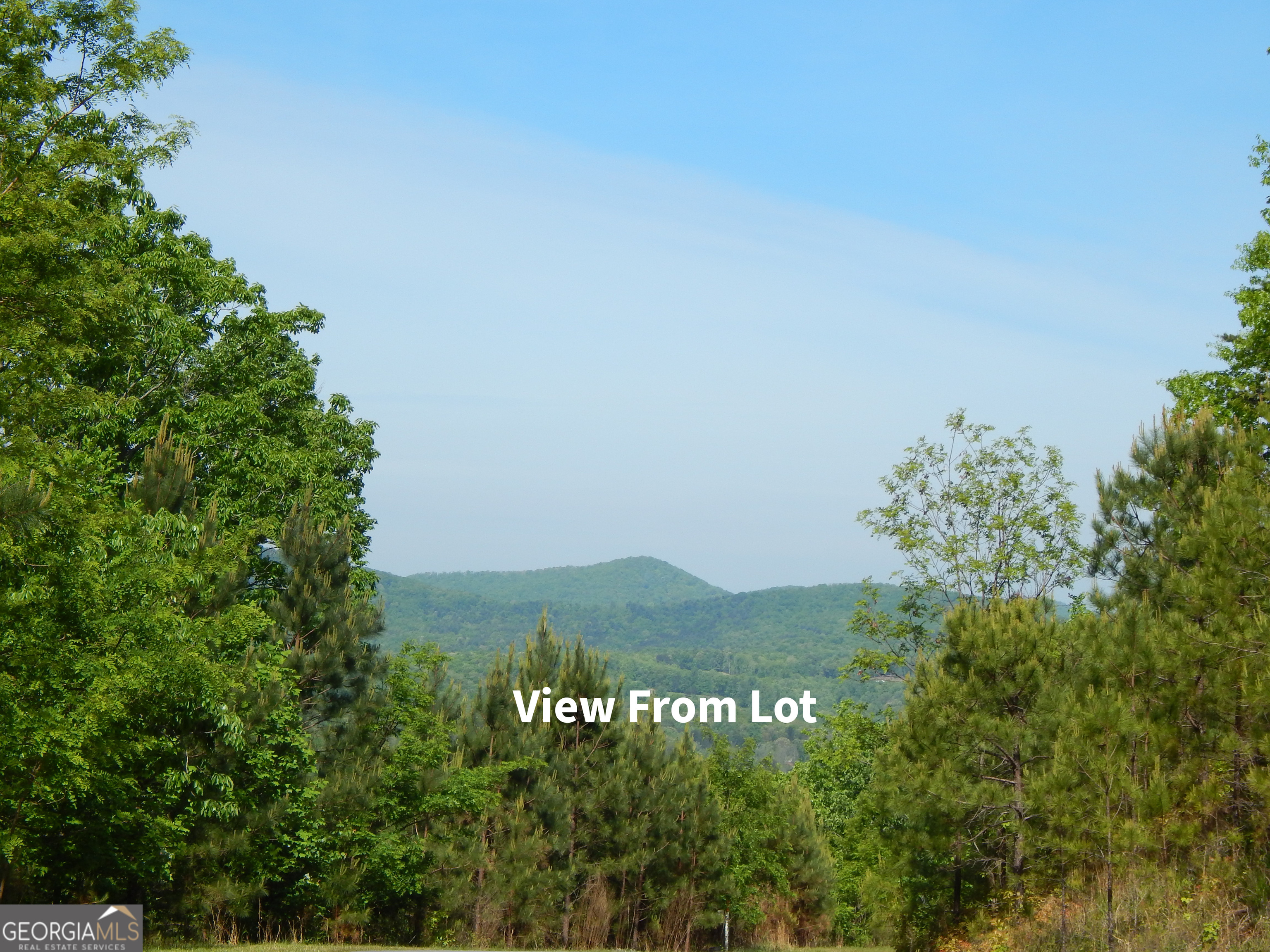 #361 The Cove At Thirteen Hundred Young Harris GA 30582