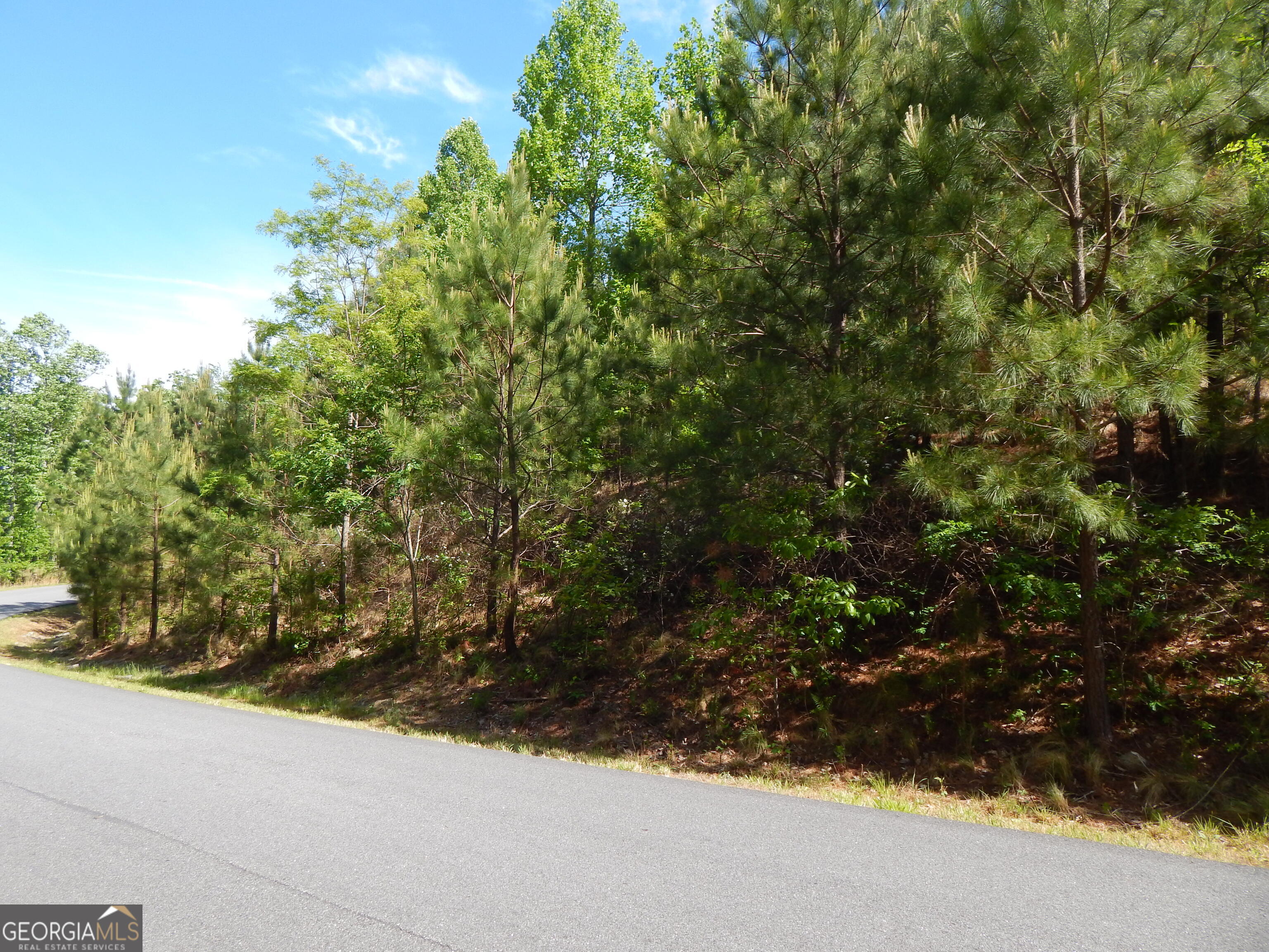 #361 The Cove At Thirteen Hundred Young Harris GA 30582