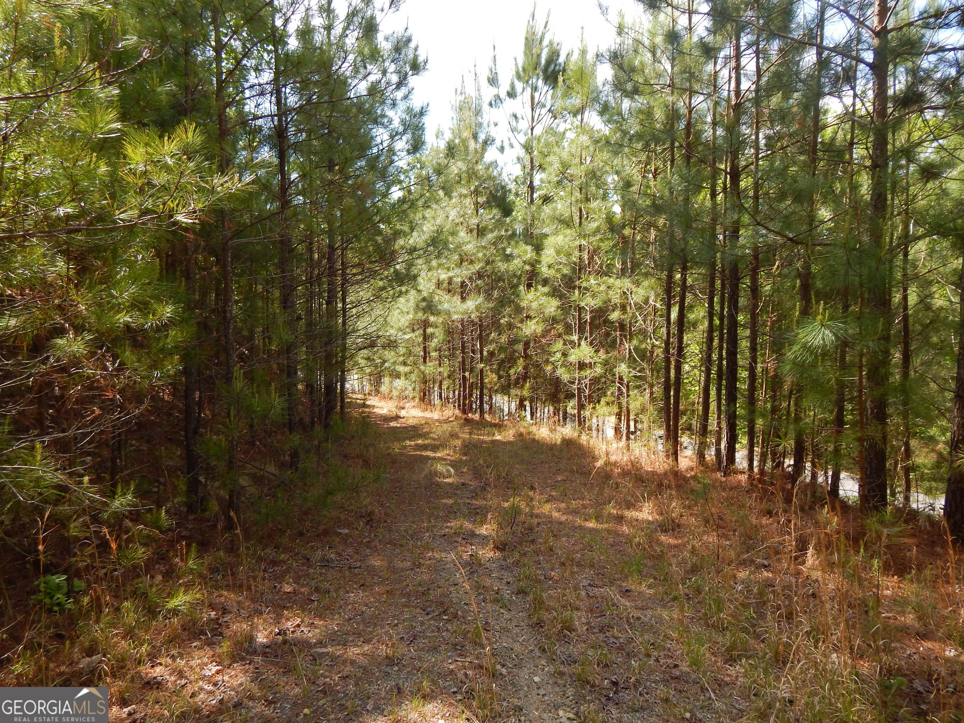 #361 The Cove At Thirteen Hundred Young Harris GA 30582