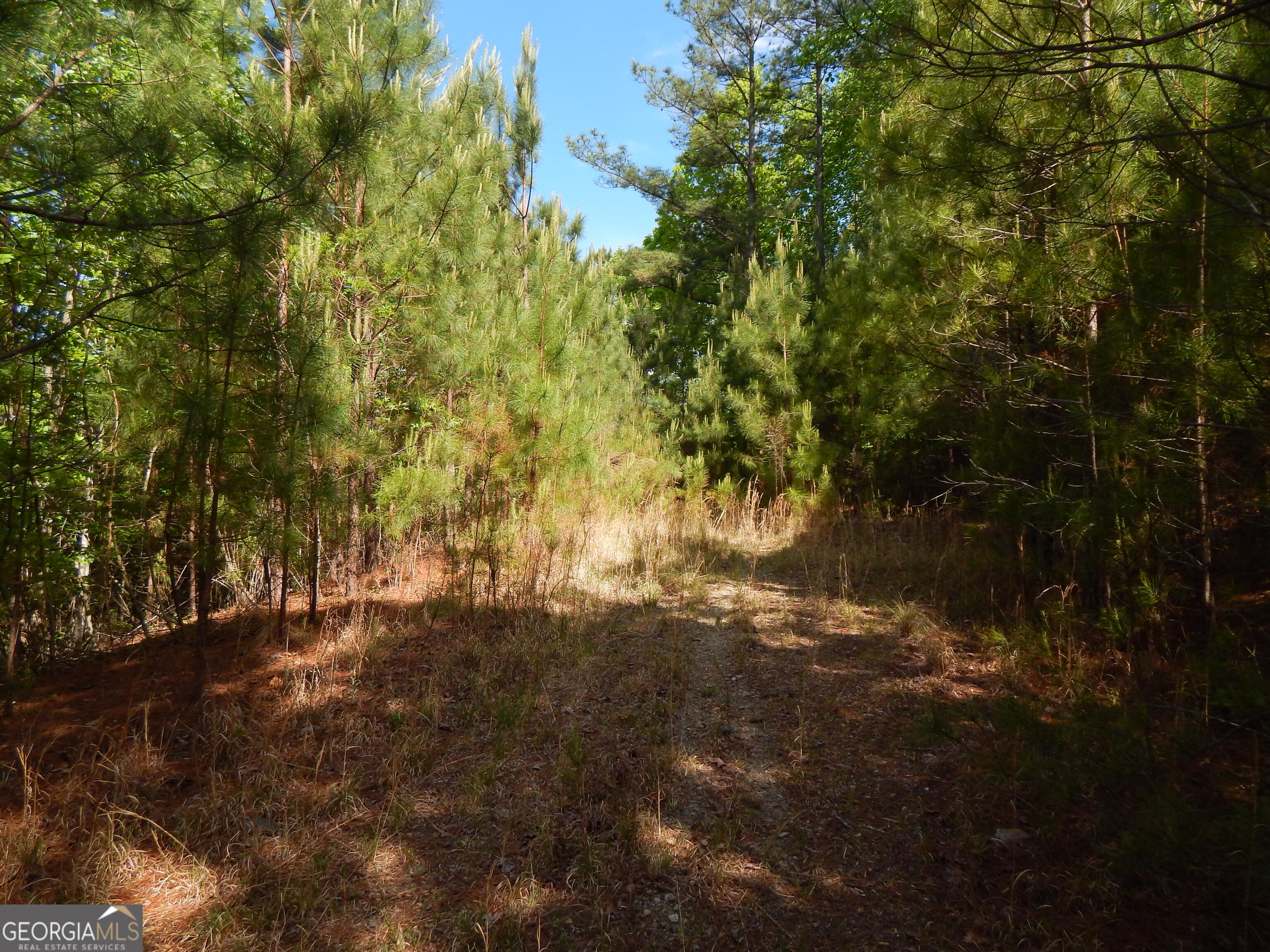 #361 The Cove At Thirteen Hundred Young Harris GA 30582