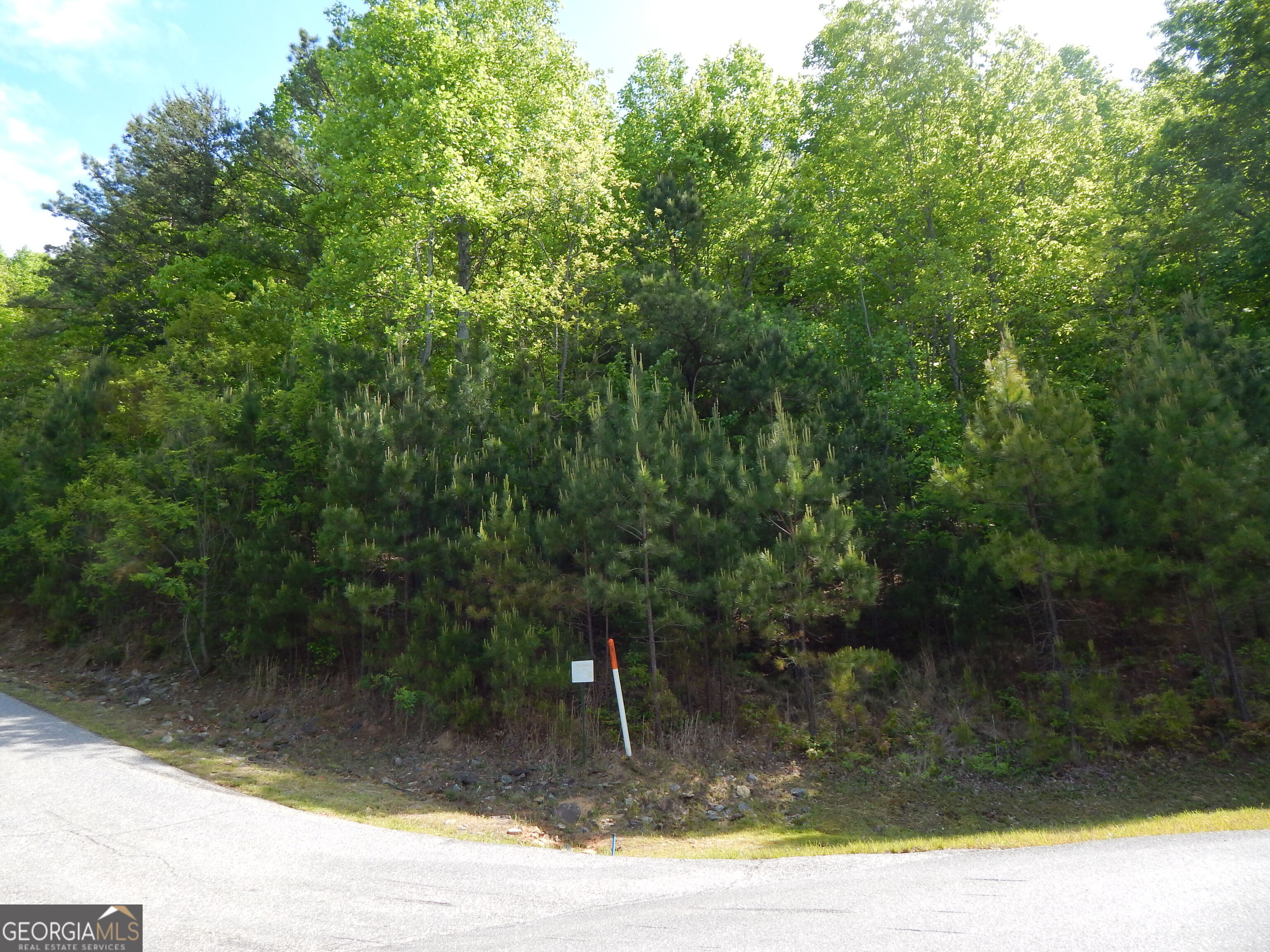 #361 The Cove At Thirteen Hundred Young Harris GA 30582