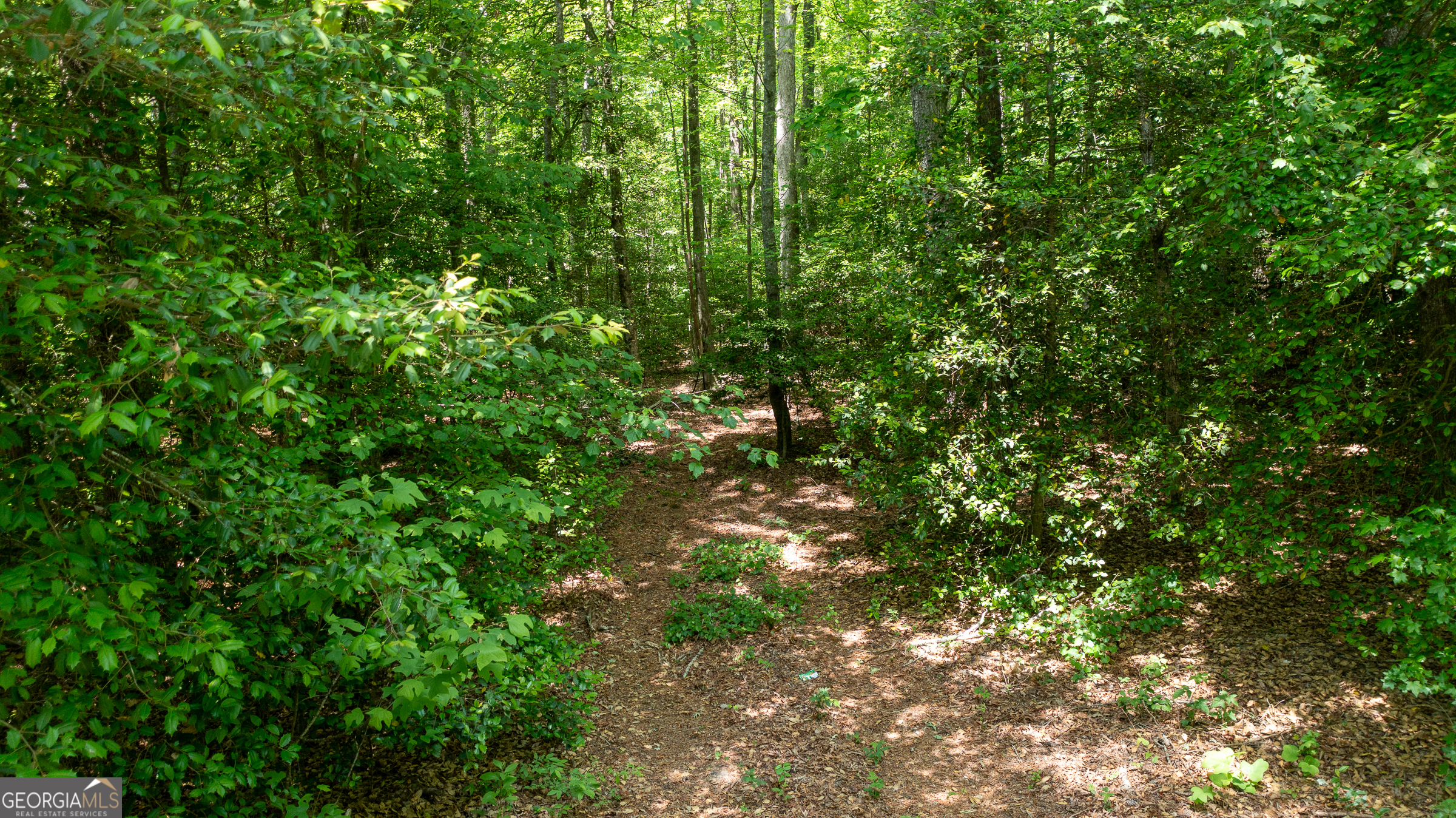 0 Hwy 136 (3.12 Acres) Dawsonville GA 30534