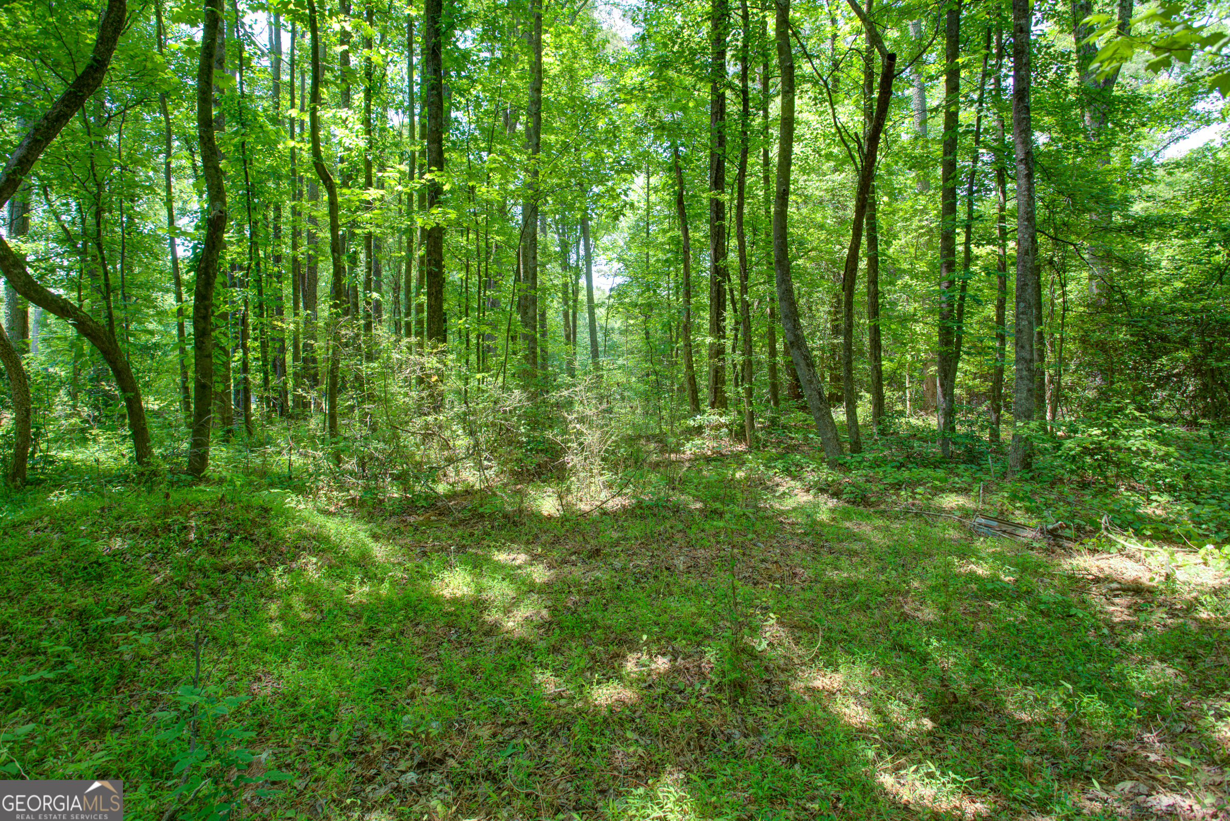 0 Hwy 136 (3.12 Acres) Dawsonville GA 30534