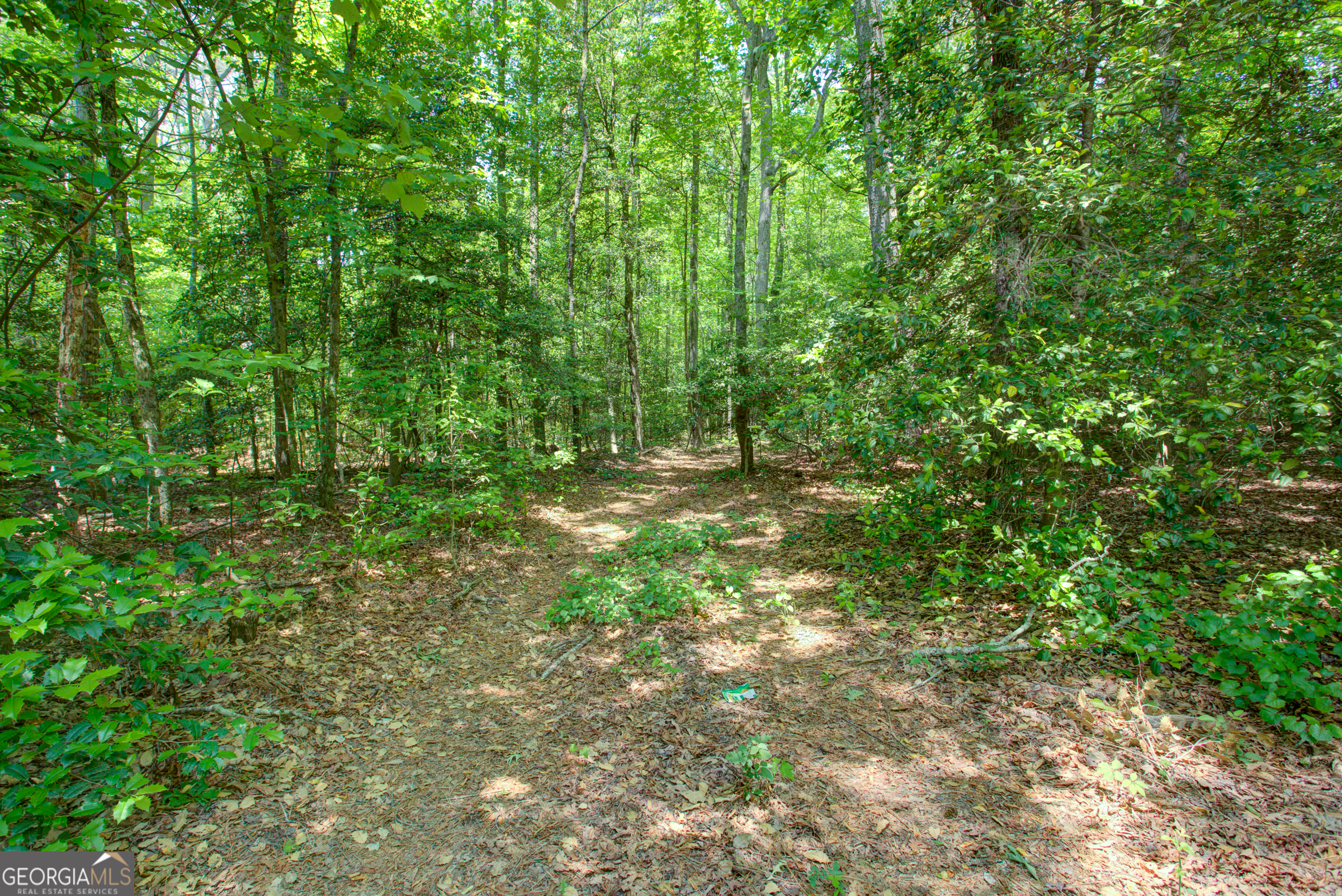0 Hwy 136 (3.12 Acres) Dawsonville GA 30534