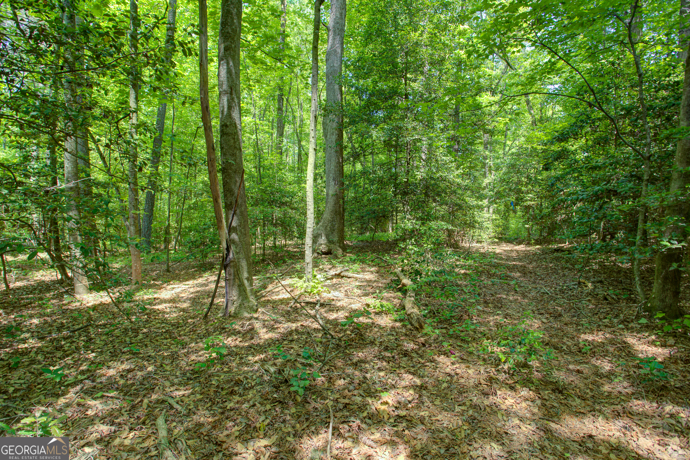 0 Hwy 136 (3.12 Acres) Dawsonville GA 30534