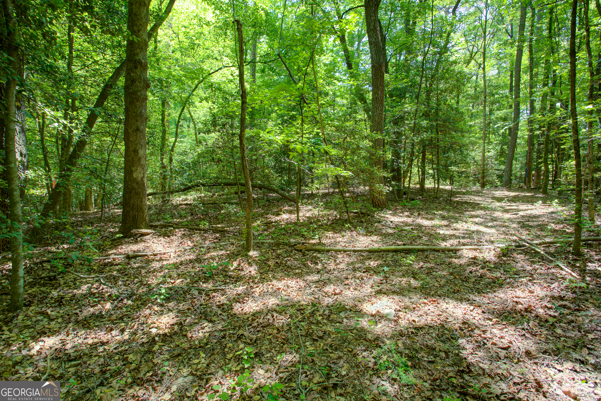 0 Hwy 136 (3.12 Acres) Dawsonville GA 30534
