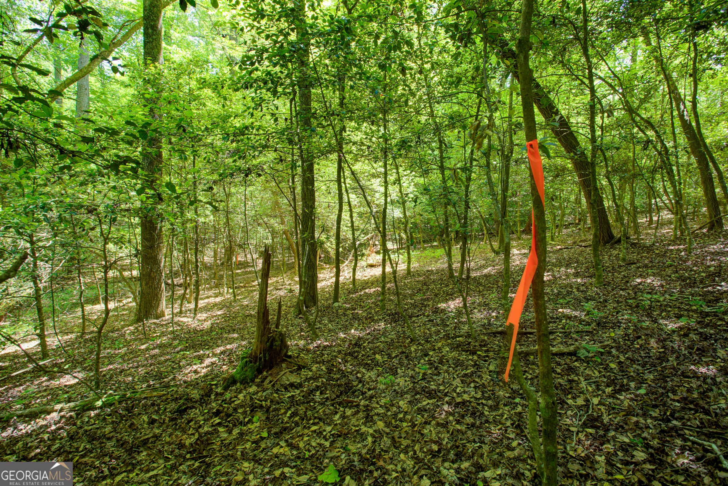 0 Hwy 136 (3.12 Acres) Dawsonville GA 30534