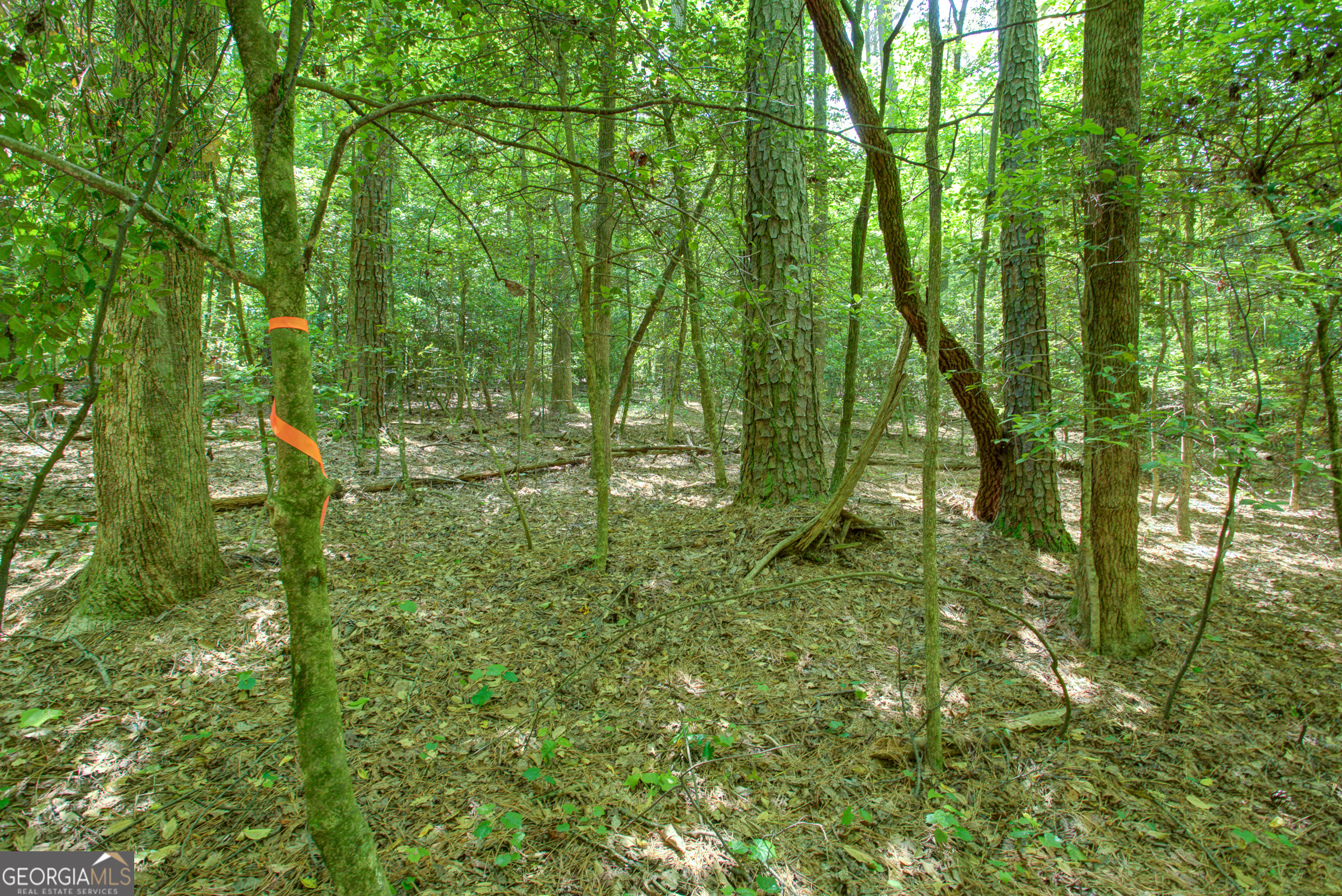 0 Hwy 136 (3.12 Acres) Dawsonville GA 30534