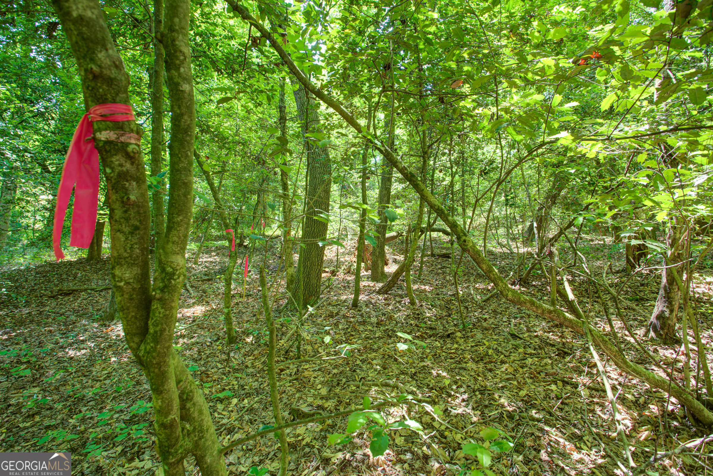 0 Hwy 136 (3.12 Acres) Dawsonville GA 30534