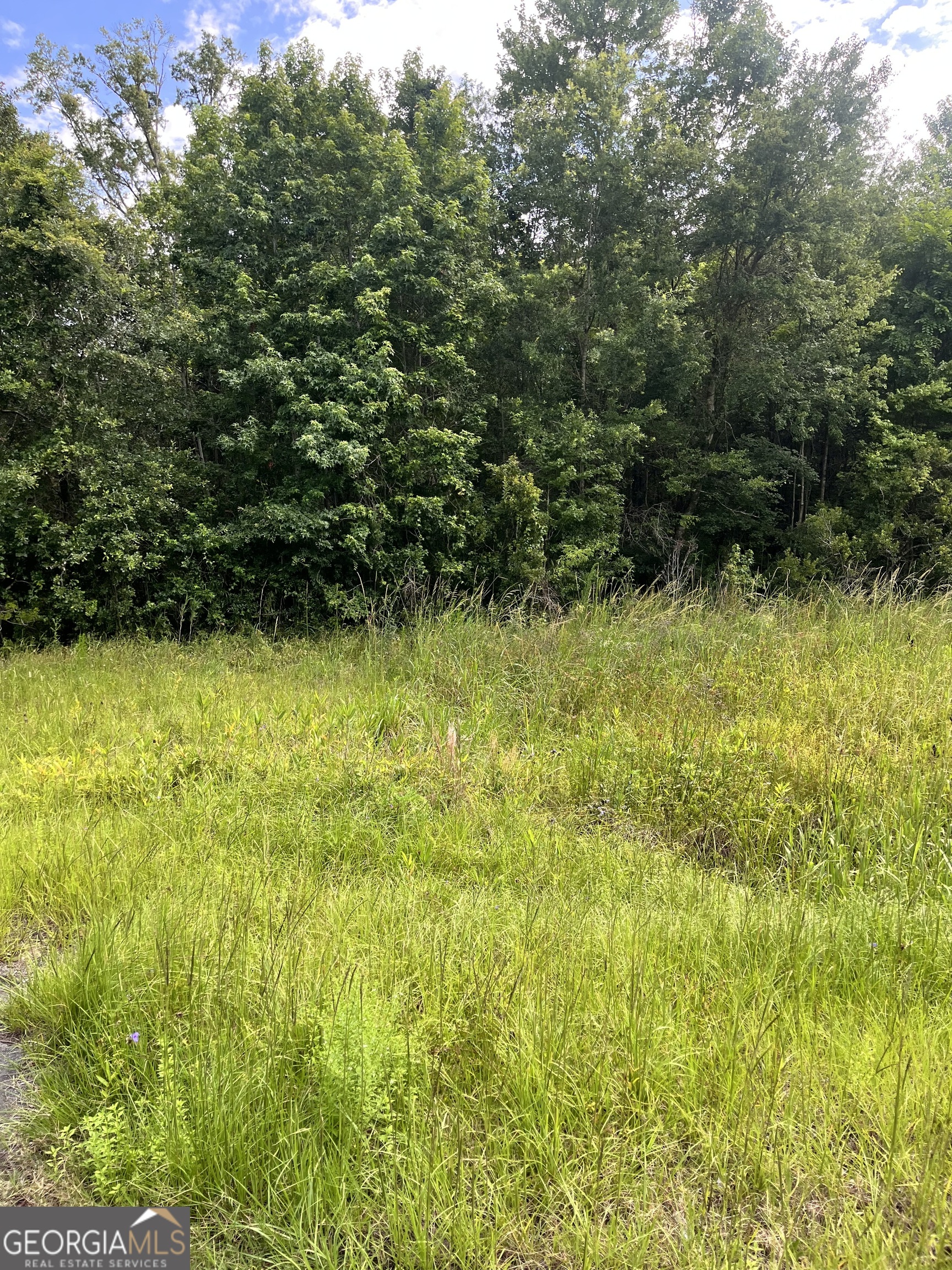 0 Oglethorpe East Highway Midway GA 31320
