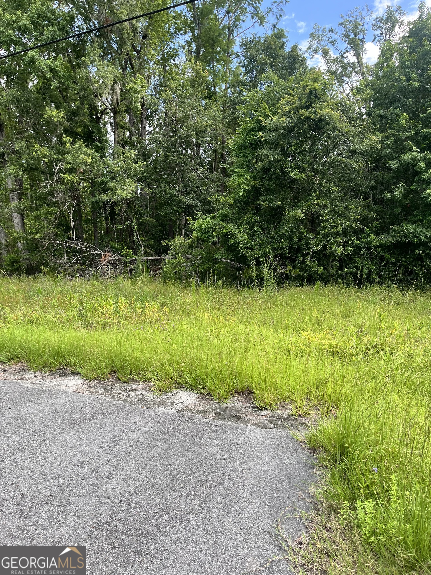 0 Oglethorpe East Highway Midway GA 31320