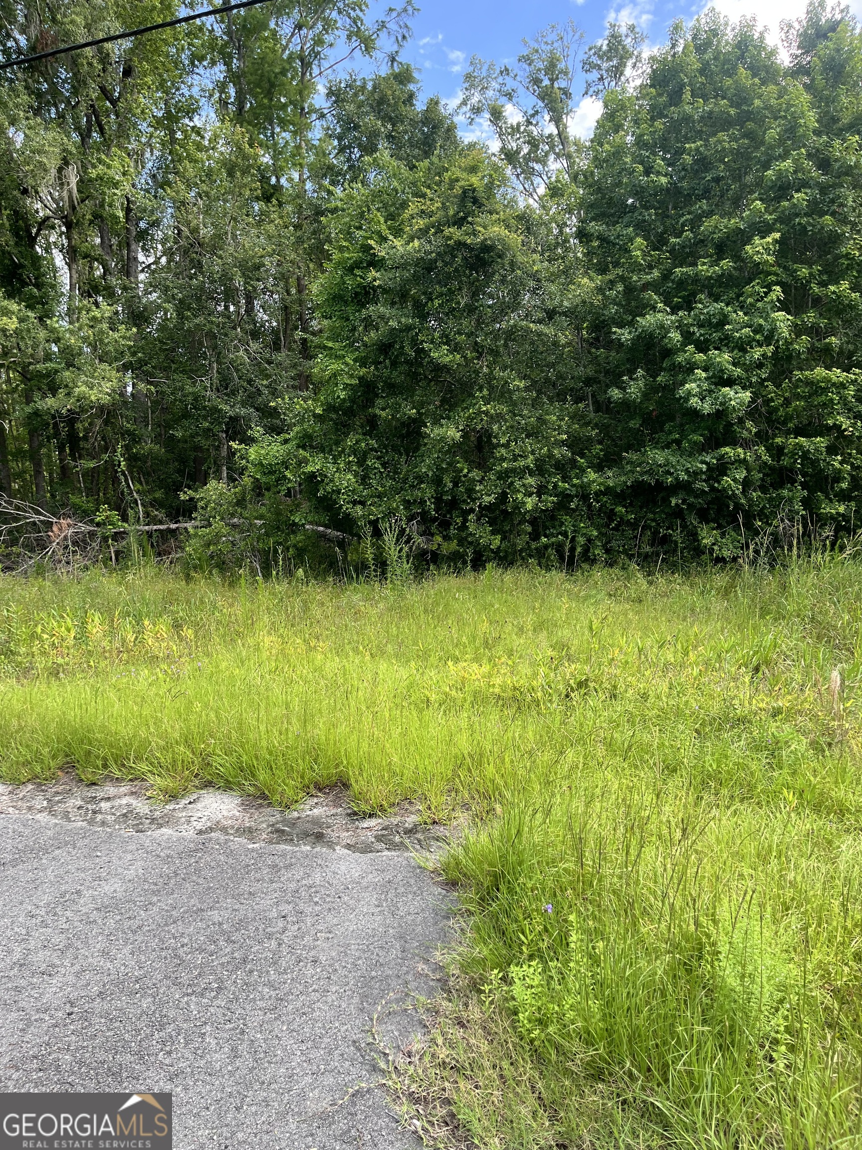 0 Oglethorpe East Highway Midway GA 31320