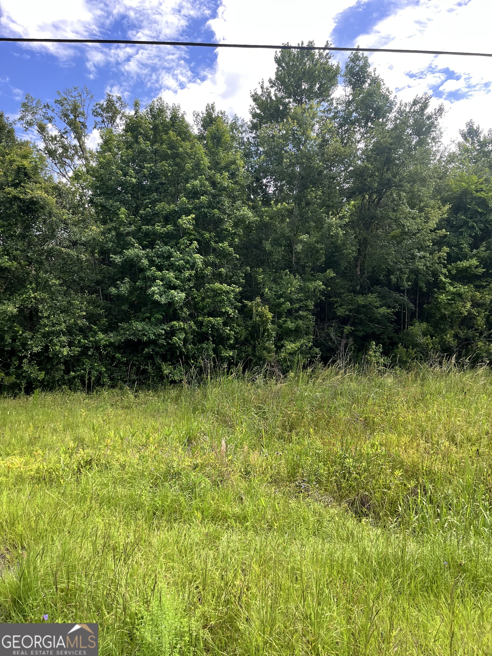0 Oglethorpe East Highway Midway GA 31320