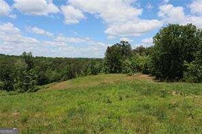 0 Parksbrook Road Ellijay GA 30540
