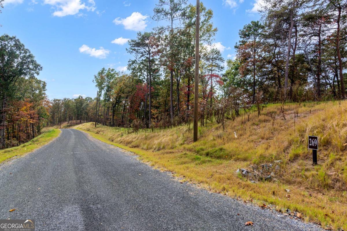 Lot 269 Canoe Way Talking Rock GA 30175