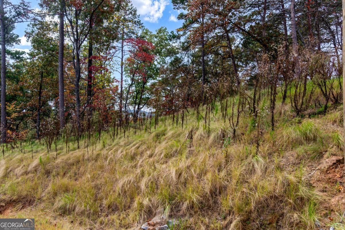 Lot 269 Canoe Way Talking Rock GA 30175