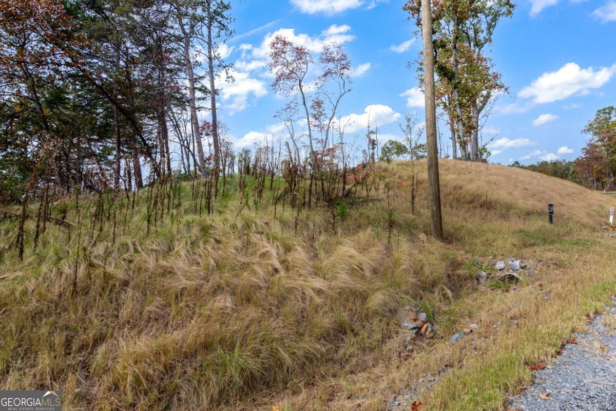 Lot 269 Canoe Way Talking Rock GA 30175