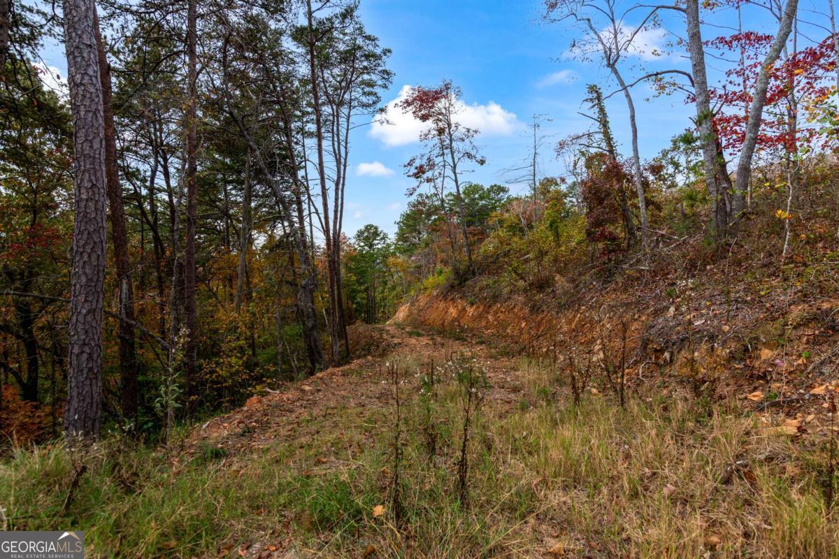 Lot 269 Canoe Way Talking Rock GA 30175