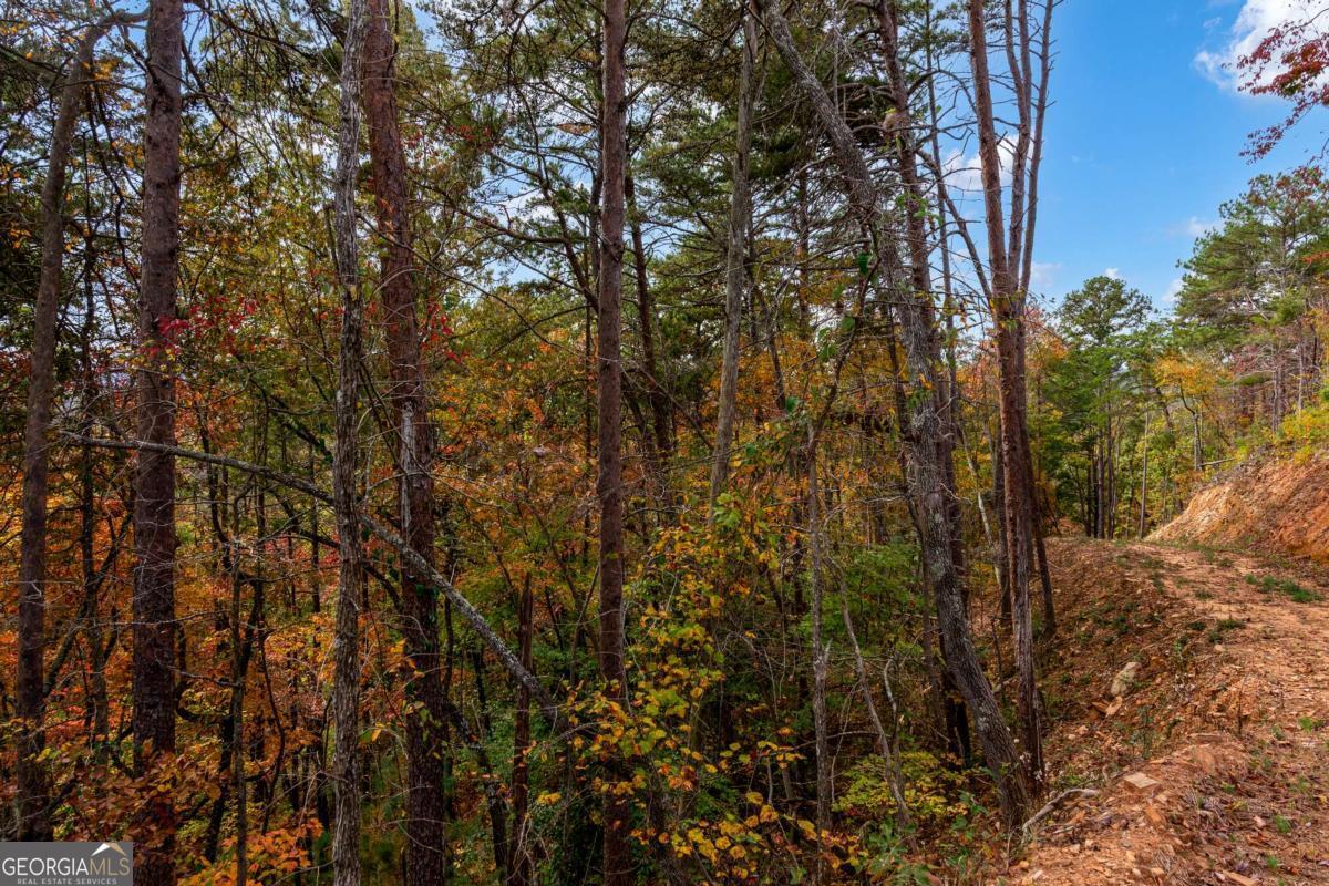 Lot 269 Canoe Way Talking Rock GA 30175