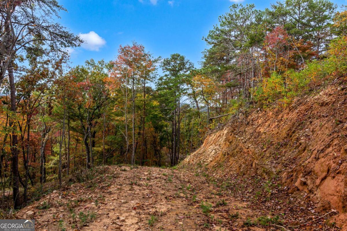 Lot 269 Canoe Way Talking Rock GA 30175